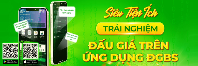 Ads đấu giá DGBS